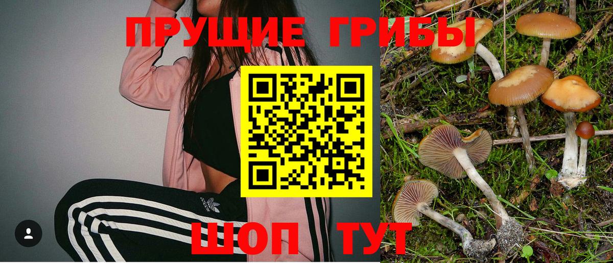 Псилоцибиновые грибы Psilocybine cubensis Петропавловск-Камчатский