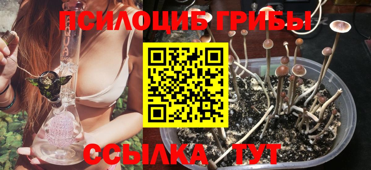 Галлюциногенные грибы ЛСД  Галлюциногенные грибы мухоморы  Петропавловск-Камчатский  Вход с VPN 